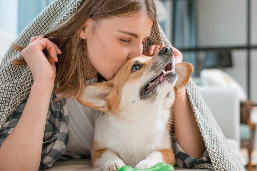 animal mental health 