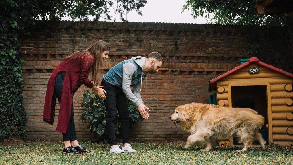 are dogs called canines?