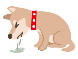 Symptoms of Chocolate Poisoning in Dogs