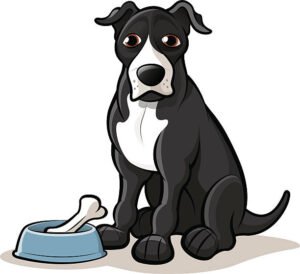 Natural Remedies for an Upset Stomach in dogs