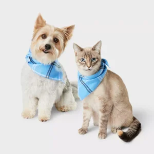 Matching dog and cat collars