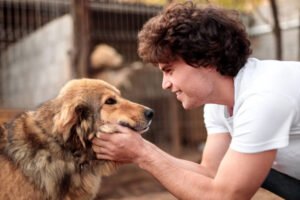 Why Are Pets Good for Mental Health