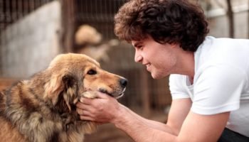 Why Are Pets Good for Mental Health