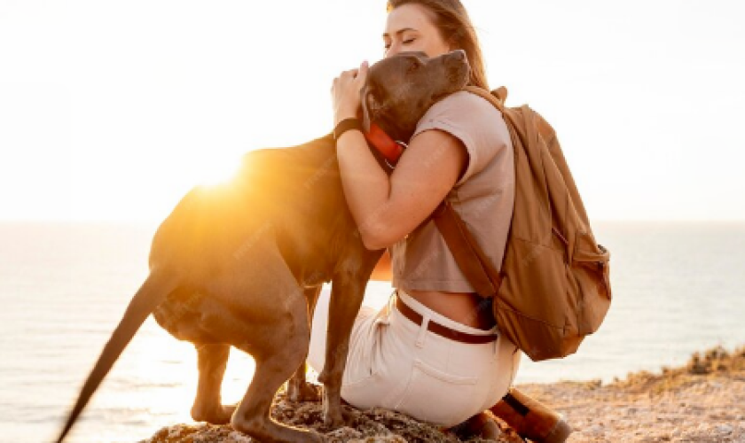 traveling with dogs in car long distance