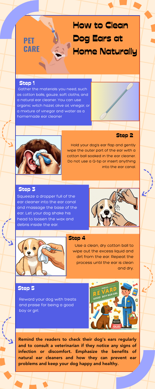 how to clear up a dog's ear infection at home