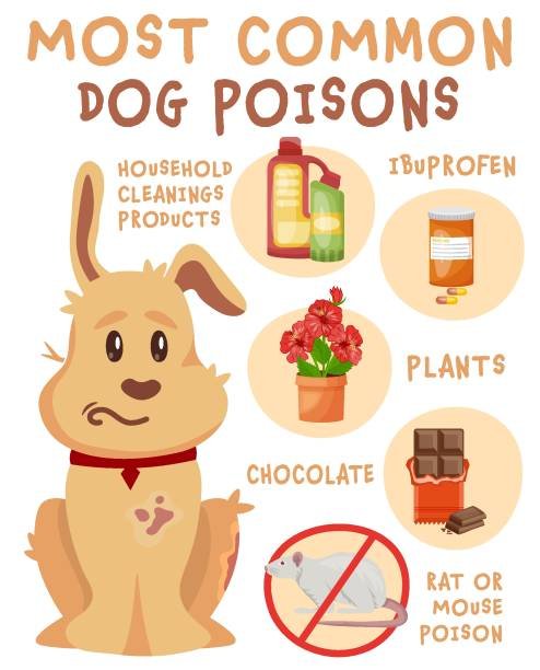 Common causes of sensitive skin in dogs