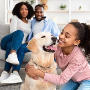 What is a Guardian Home for a Dog