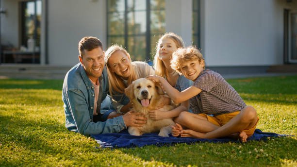 what are guardian homes for dogs
