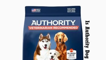 Is Authority Dog Food Good?